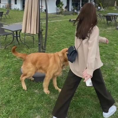 童心
